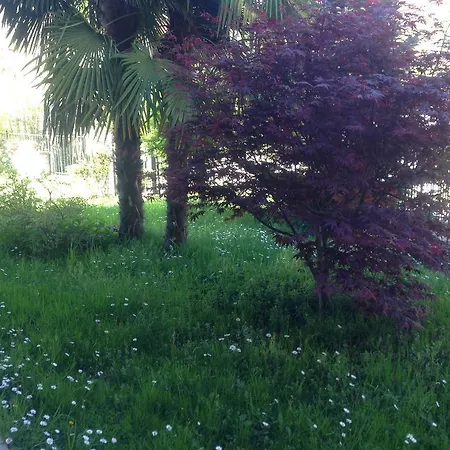 A Casa Di Giulia *